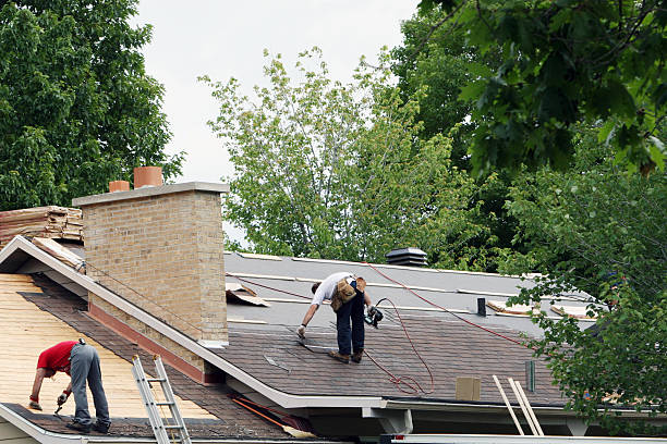 Best Roof Gutter Cleaning  in Lynchburg, TN