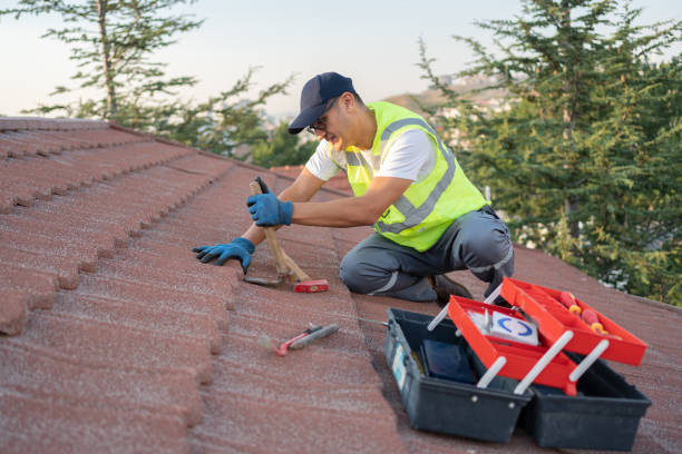 Best Shingle Roofing Installation  in Lynchburg, TN